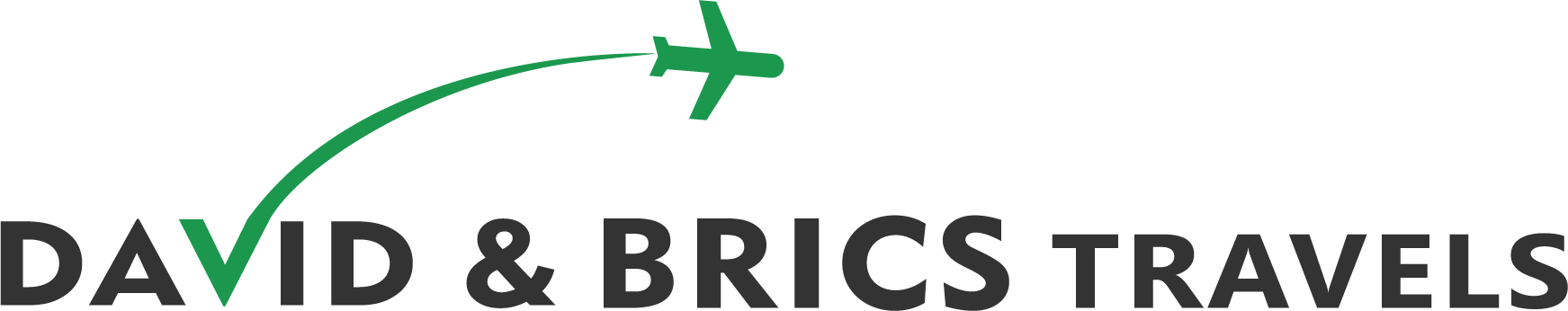 David and Brics Logo